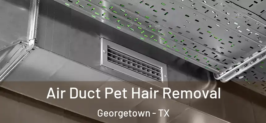 Air Duct Pet Hair Removal Georgetown - TX