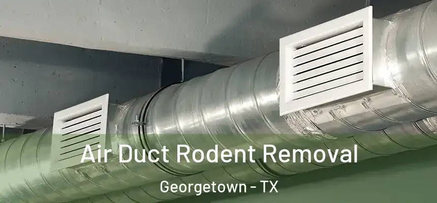 Air Duct Rodent Removal Georgetown - TX