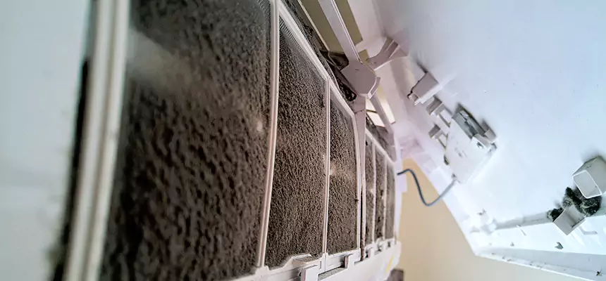 Preventive Air Duct Bacteria Removal in Georgetown