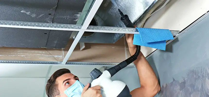 Our Air Duct Rodent Removal Services in Georgetown, TX