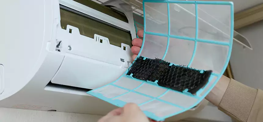 Gentle Ductwork Odor-Control Pet Dander Duct Cleaning in Georgetown, TX