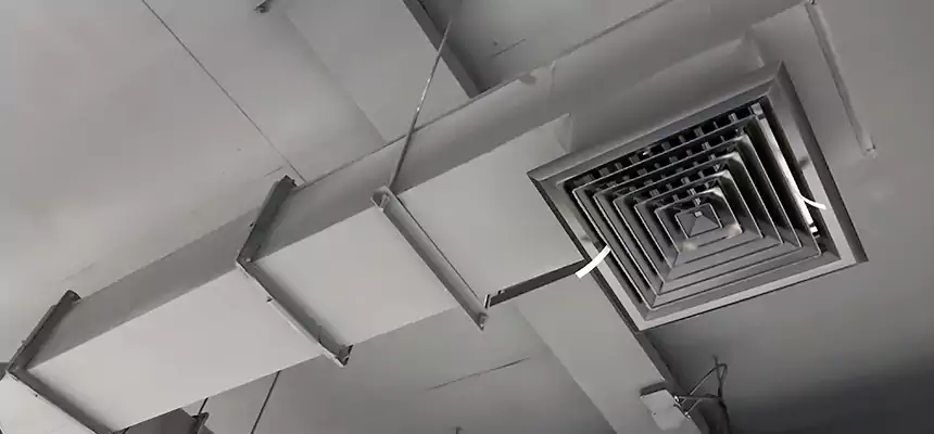 Our Rodent Droppings In Vents Services in Georgetown, TX