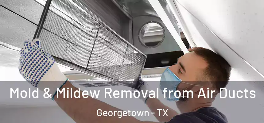 Mold & Mildew Removal from Air Ducts Georgetown - TX