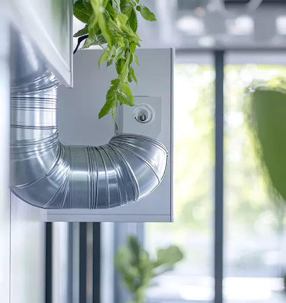 Professional Eco-Friendly Duct Cleaning Services in Georgetown, TX