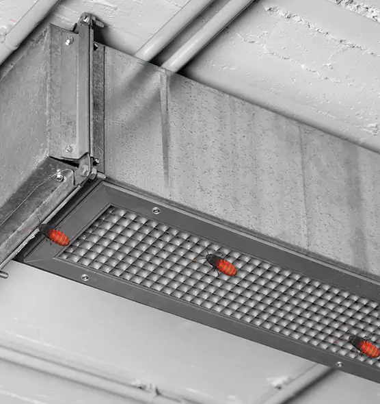 Affordable Insect Removal from Air Ducts in Georgetown, TX