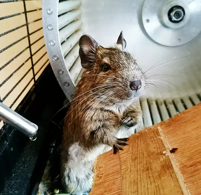 Why Homeowners & Businesses Trust Us Georgetown, TX