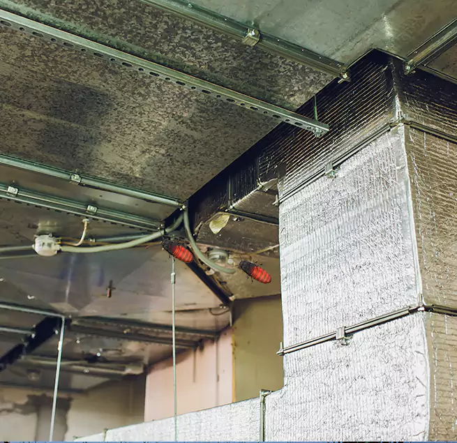 Why Homeowners & Businesses Trust Us Georgetown, TX?