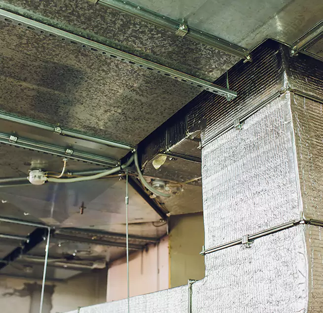 Why Homeowners & Businesses Trust Us in Georgetown, TX?